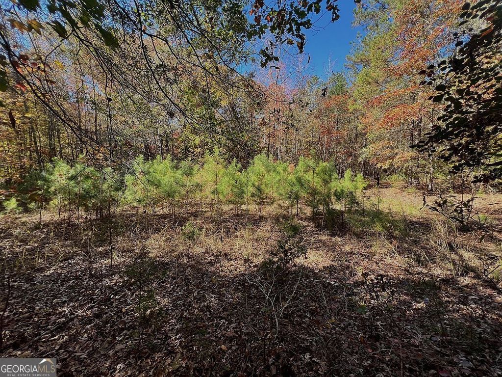 17.86AC Pine Ridge Drive, Elberton, GA 30635 — photo 5