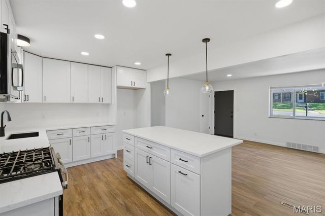46 Green Acres Road, St Louis, MO 63137