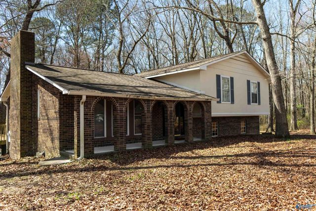 1622 Chavies Road, Rainsville, AL 35968