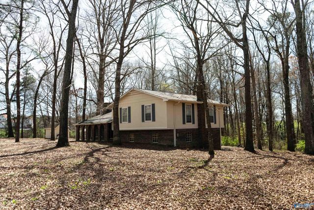 1622 Chavies Road, Rainsville, AL 35968