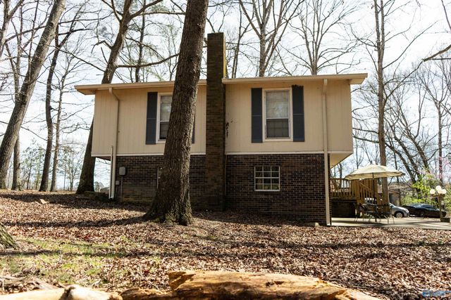 1622 Chavies Road, Rainsville, AL 35968