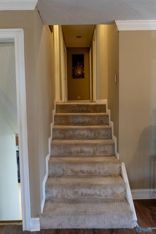 1622 Chavies Road, Rainsville, AL 35968