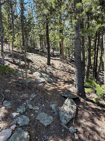 72 Rudi Ln W, Golden, CO 80403