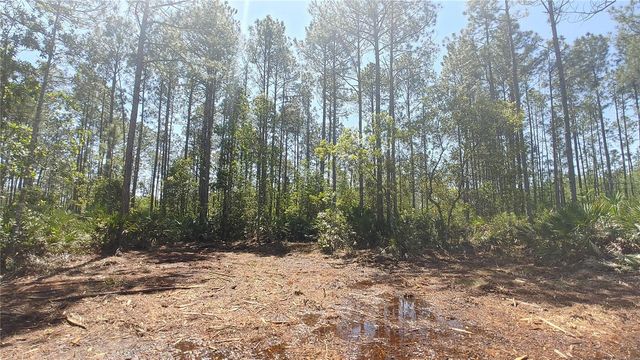 1001 OMEGA RANCH ROAD 16, New Smyrna Beach, FL 32168