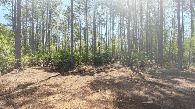 1001 OMEGA RANCH ROAD 16, New Smyrna Beach, FL 32168