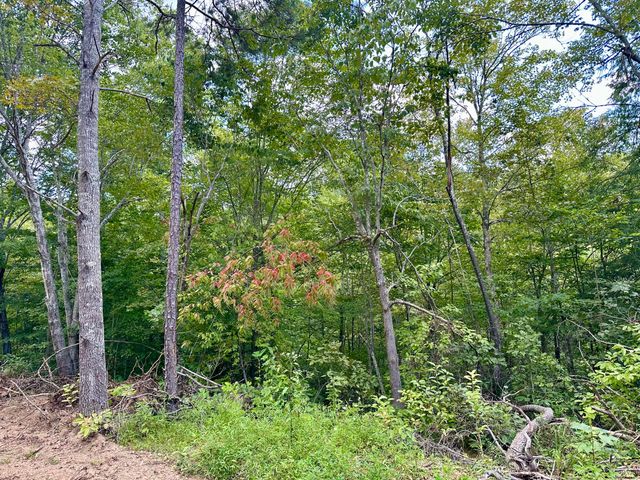 424-Tract 5 W 577 Highway, Manchester, KY 40962