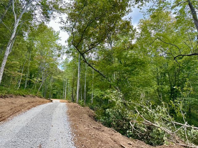424-Tract 5 W 577 Highway, Manchester, KY 40962