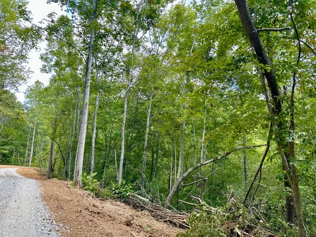424-Tract 5 W 577 Highway, Manchester, KY 40962