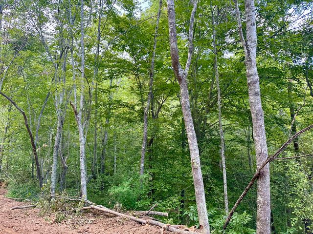424-Tract 5 W 577 Highway, Manchester, KY 40962