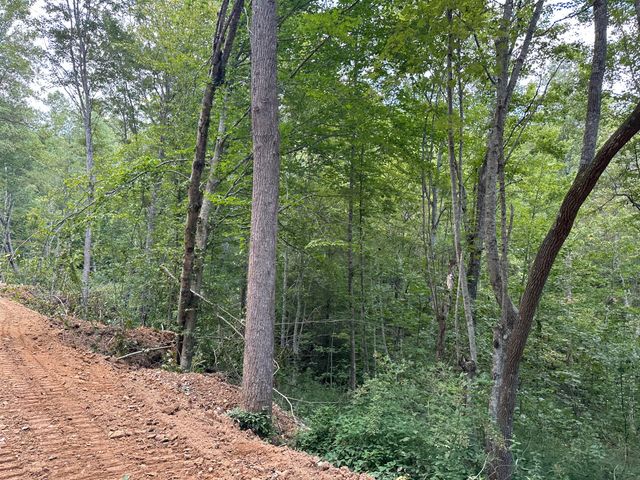 424-Tract 5 W 577 Highway, Manchester, KY 40962