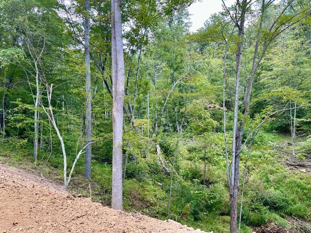 424-Tract 5 W 577 Highway, Manchester, KY 40962