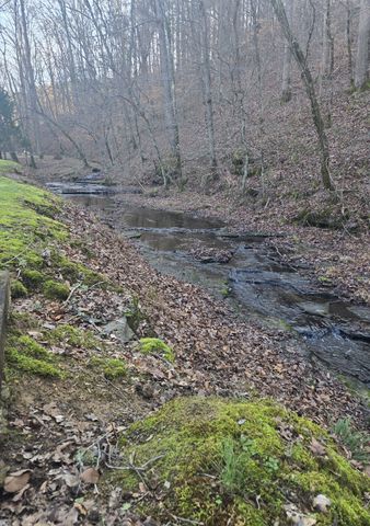 2130 Irwin Branch Rd, Waynesboro, TN 38485