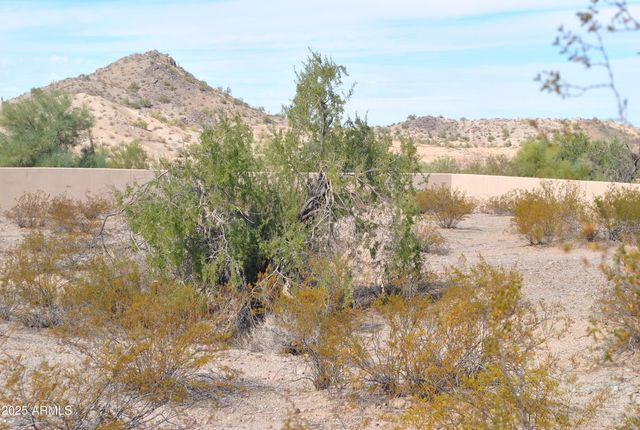 9083 S KRISTA Drive E 2, Goodyear, AZ 85338