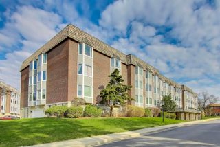 400 Ascot Drive 1M, Park Ridge, IL 60068