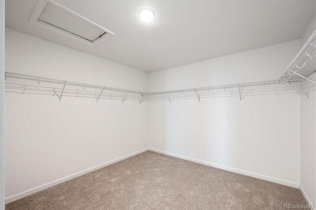 4651 Sugar Beet Street, Johnstown, CO 80534