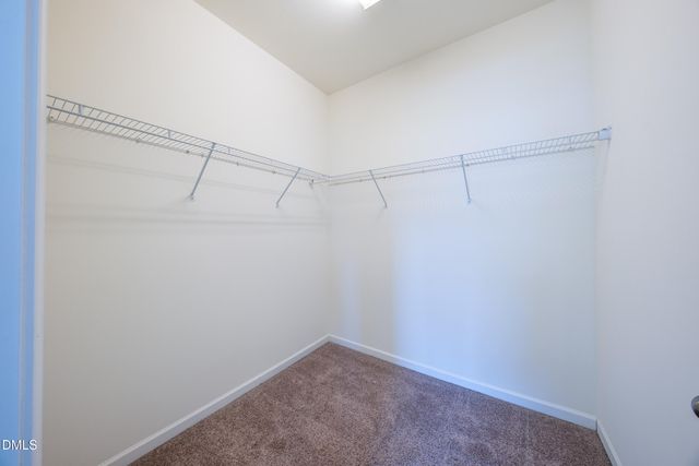 204 Traphill Drive, Morrisville, NC 27560