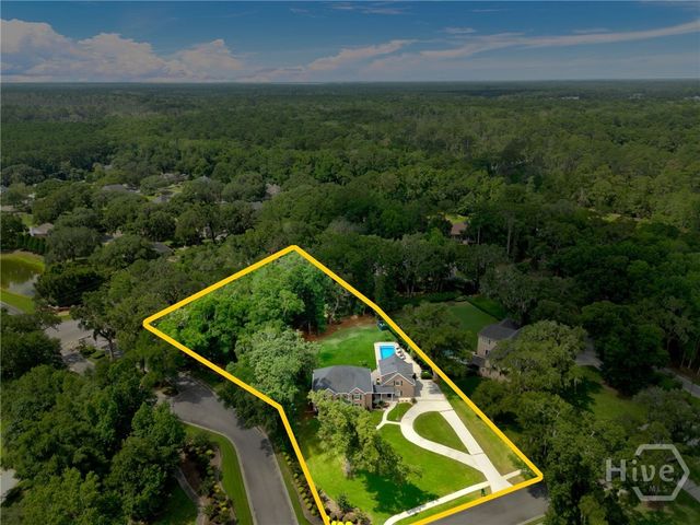 53 Bluff View Drive, Richmond Hill, GA 31324
