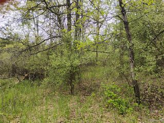 000 Middle V/L Middle, Highland, MI 48357