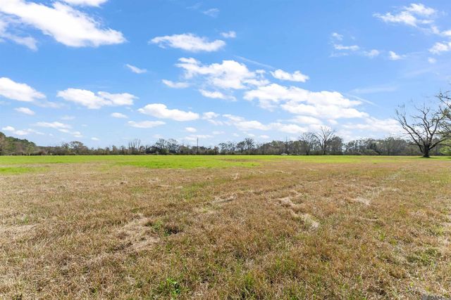 Lot C-8-A Pride Port Hudson Rd, Zachary, LA 70791