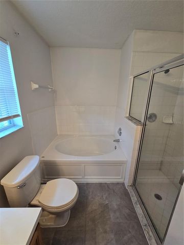 12015 BUTLER WOODS CIRCLE, Riverview, FL 33579