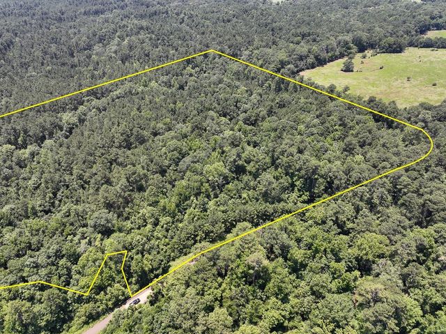 2 Lick Skillet Road, Milam, TX 75959