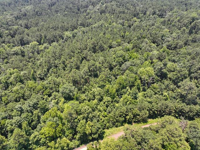 2 Lick Skillet Road, Milam, TX 75959