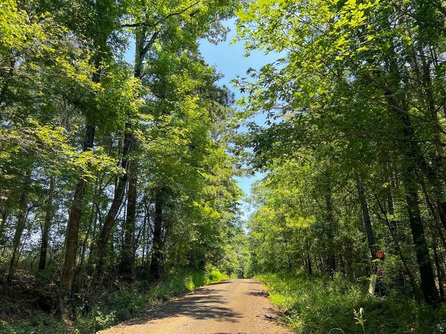 2 Lick Skillet Road, Milam, TX 75959