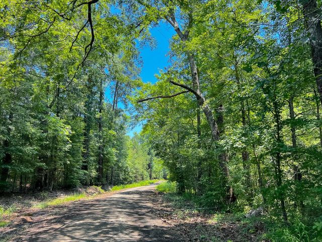 2 Lick Skillet Road, Milam, TX 75959