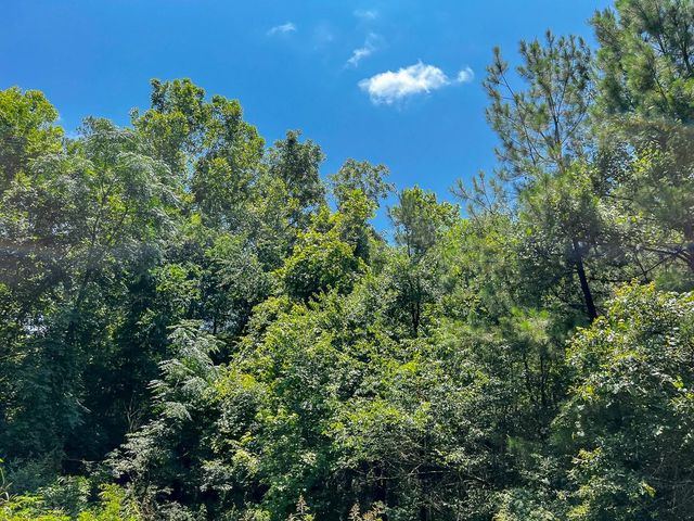 2 Lick Skillet Road, Milam, TX 75959