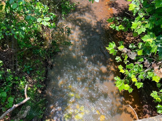 2 Lick Skillet Road, Milam, TX 75959