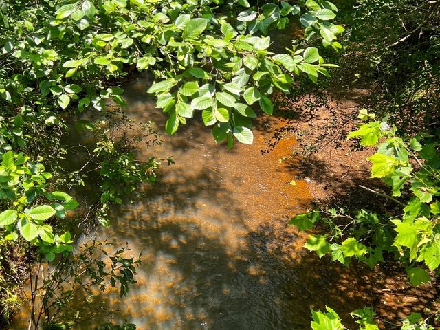 2 Lick Skillet Road, Milam, TX 75959