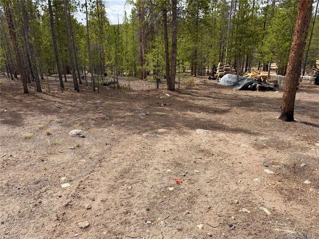 360 Peak View Dr, Leadville, CO 80461