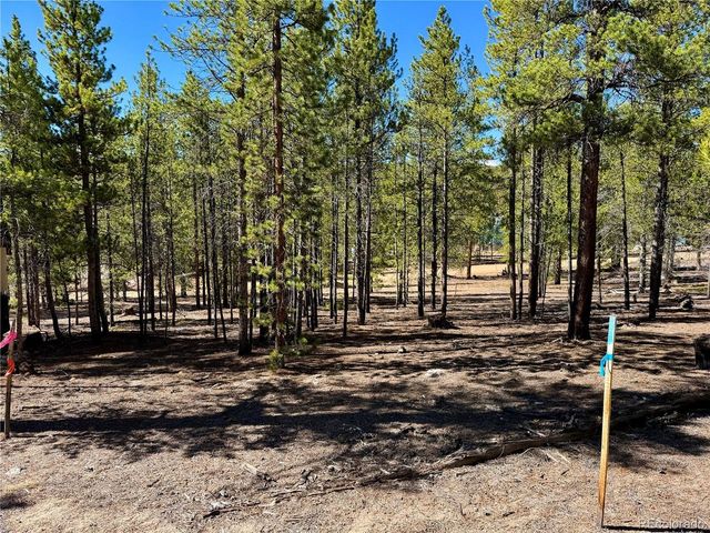 360 Peak View Dr, Leadville, CO 80461