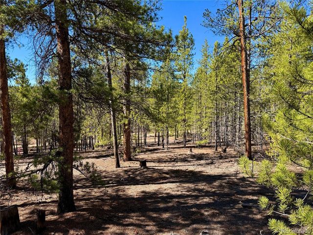 360 Peak View Dr, Leadville, CO 80461