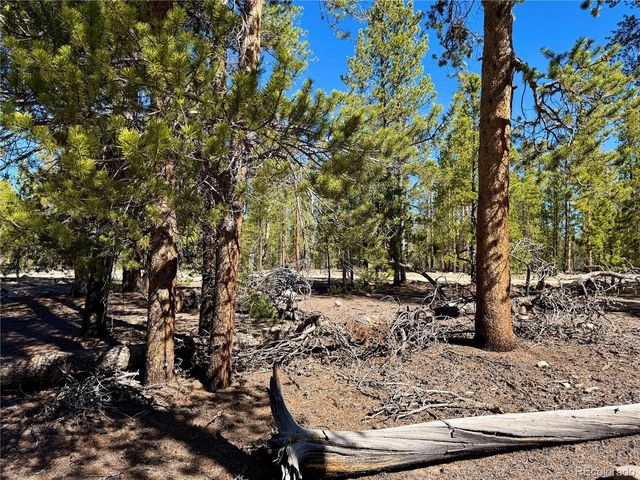 360 Peak View Dr, Leadville, CO 80461