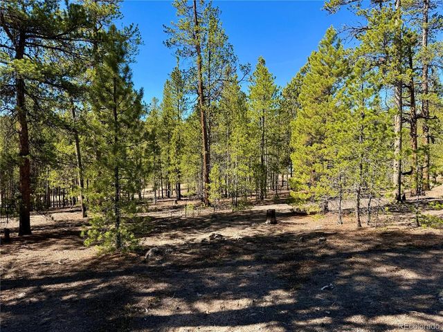 360 Peak View Dr, Leadville, CO 80461