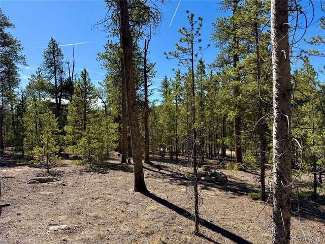 360 Peak View Dr, Leadville, CO 80461