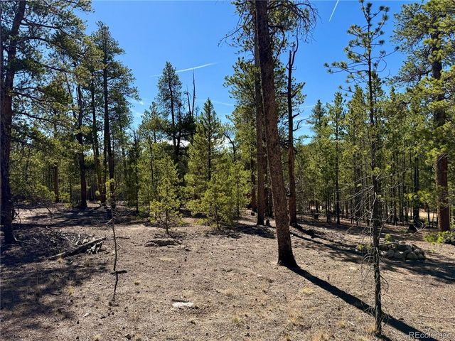 360 Peak View Dr, Leadville, CO 80461