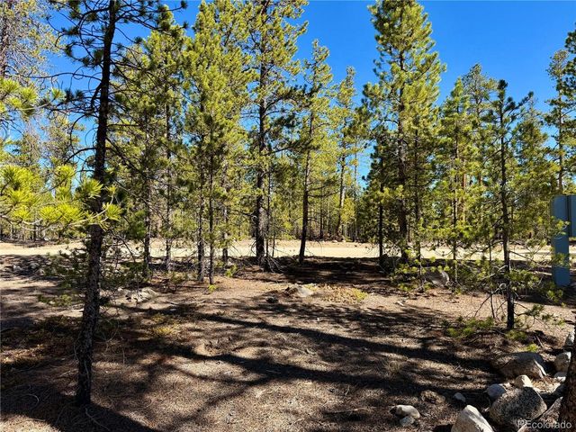 360 Peak View Dr, Leadville, CO 80461