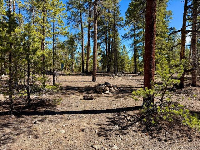 360 Peak View Dr, Leadville, CO 80461