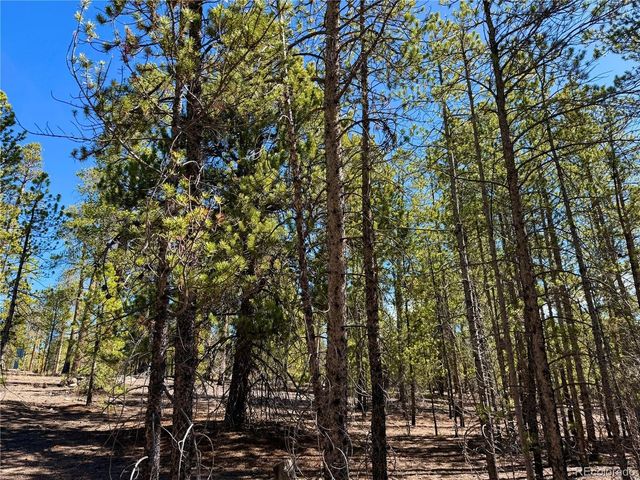 360 Peak View Dr, Leadville, CO 80461