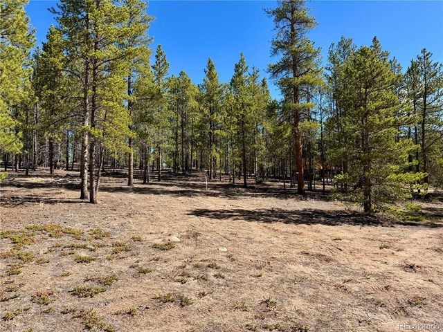360 Peak View Dr, Leadville, CO 80461