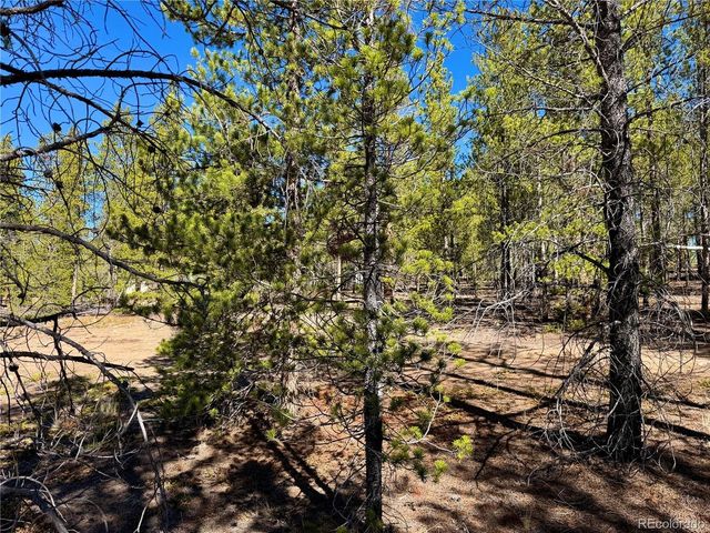360 Peak View Dr, Leadville, CO 80461