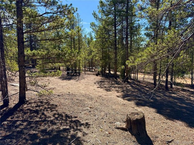 360 Peak View Dr, Leadville, CO 80461