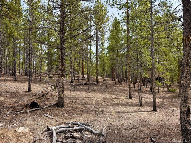 360 Peak View Dr, Leadville, CO 80461