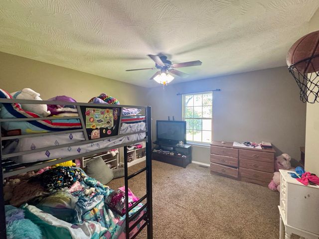 206 Spruce Avenue, Clever, MO 65631