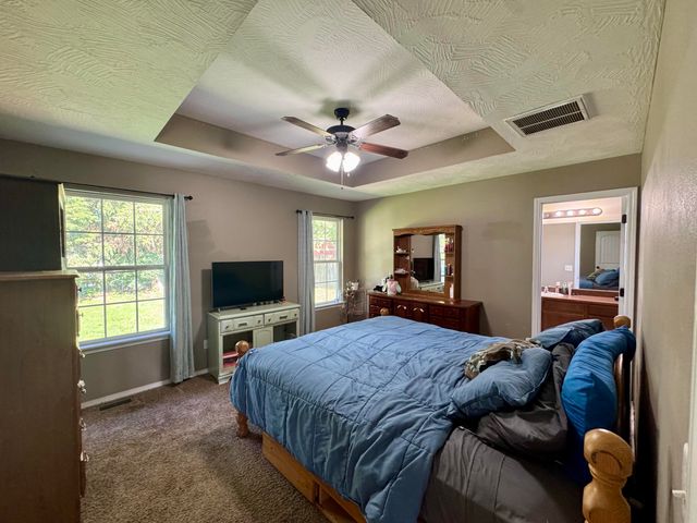 206 Spruce Avenue, Clever, MO 65631