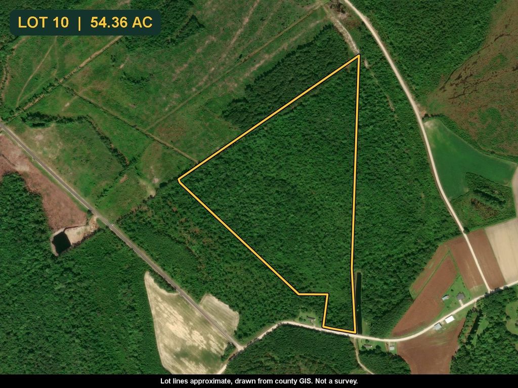TBD Maplewild Rd., Nichols, SC 29581 — exterior