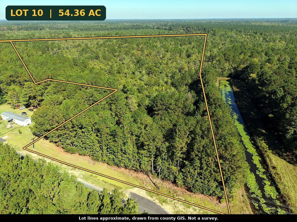 TBD Maplewild Rd., Nichols, SC 29581 — photo 2