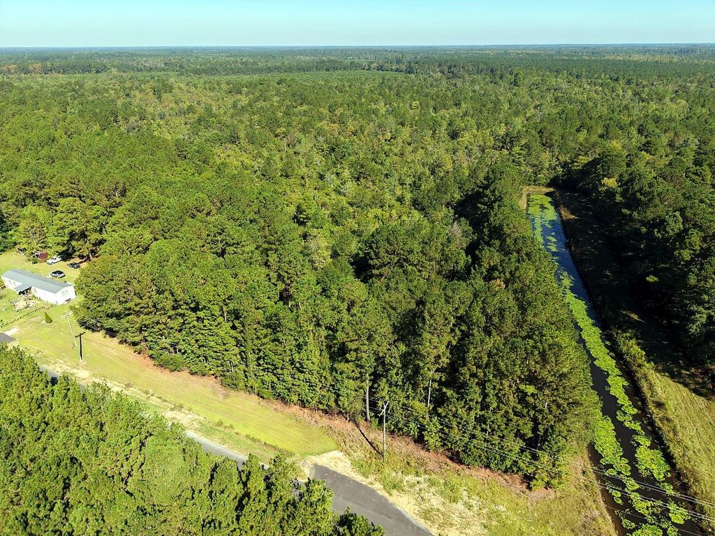 TBD Maplewild Rd., Nichols, SC 29581 — photo 3